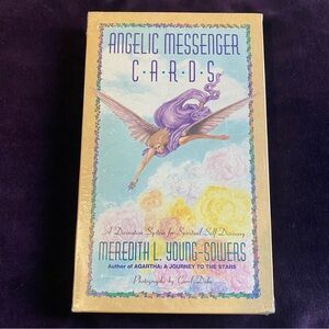 NIB Angelic Messenger Cards set with Book. By Meredith L. Young-Sowers. Y2K.